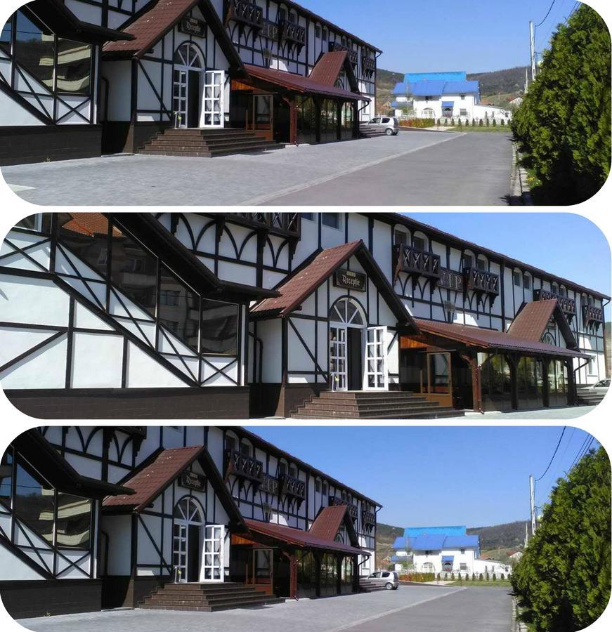 Vip Motel Restaurant Haţeg Exterior foto